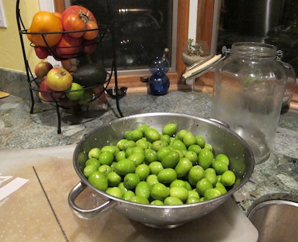Making Olives, Attempt #2