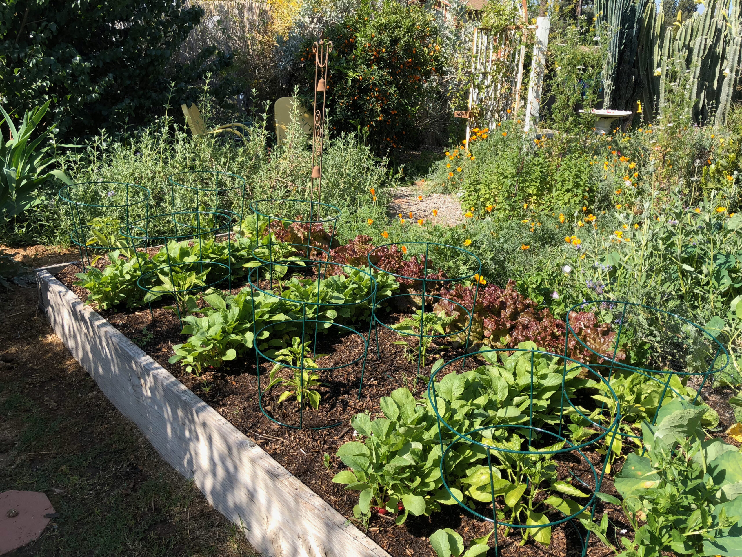 A Guide to Preparing Your Garden for Planting