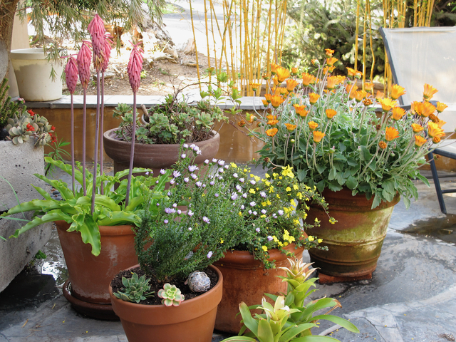 Garden Tour Do’s and Don’ts
