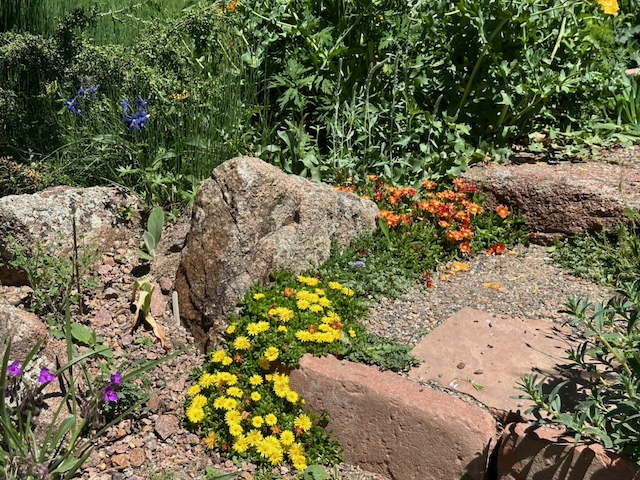 Rock and Crevice Gardening in the Rockies